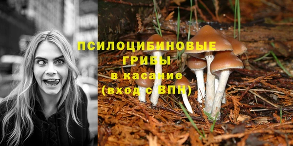 каннабис Горняк