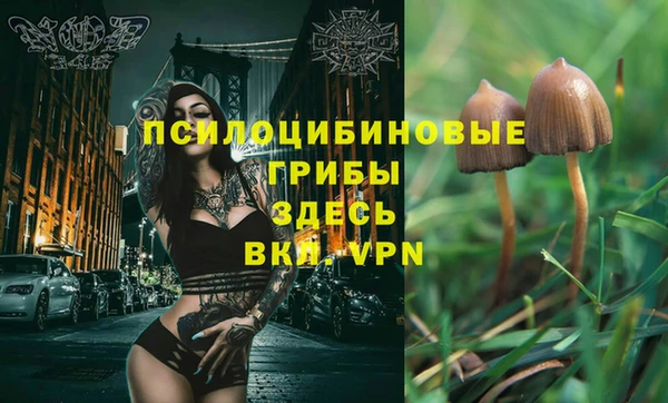 кокаин колумбия Горно-Алтайск