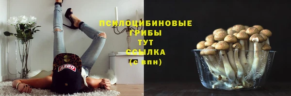 каннабис Горняк