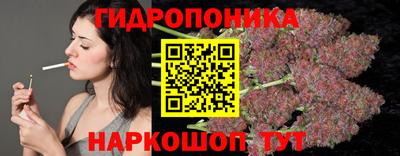 jwh Гатчина