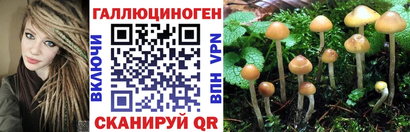 Галлюциногенные грибы мухоморы  мега как зайти  Качканар  наркота 