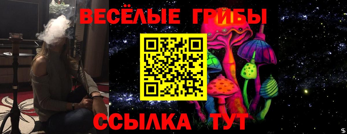 Галлюциногенные грибы прущие грибы  Вход с VPN  Качканар 